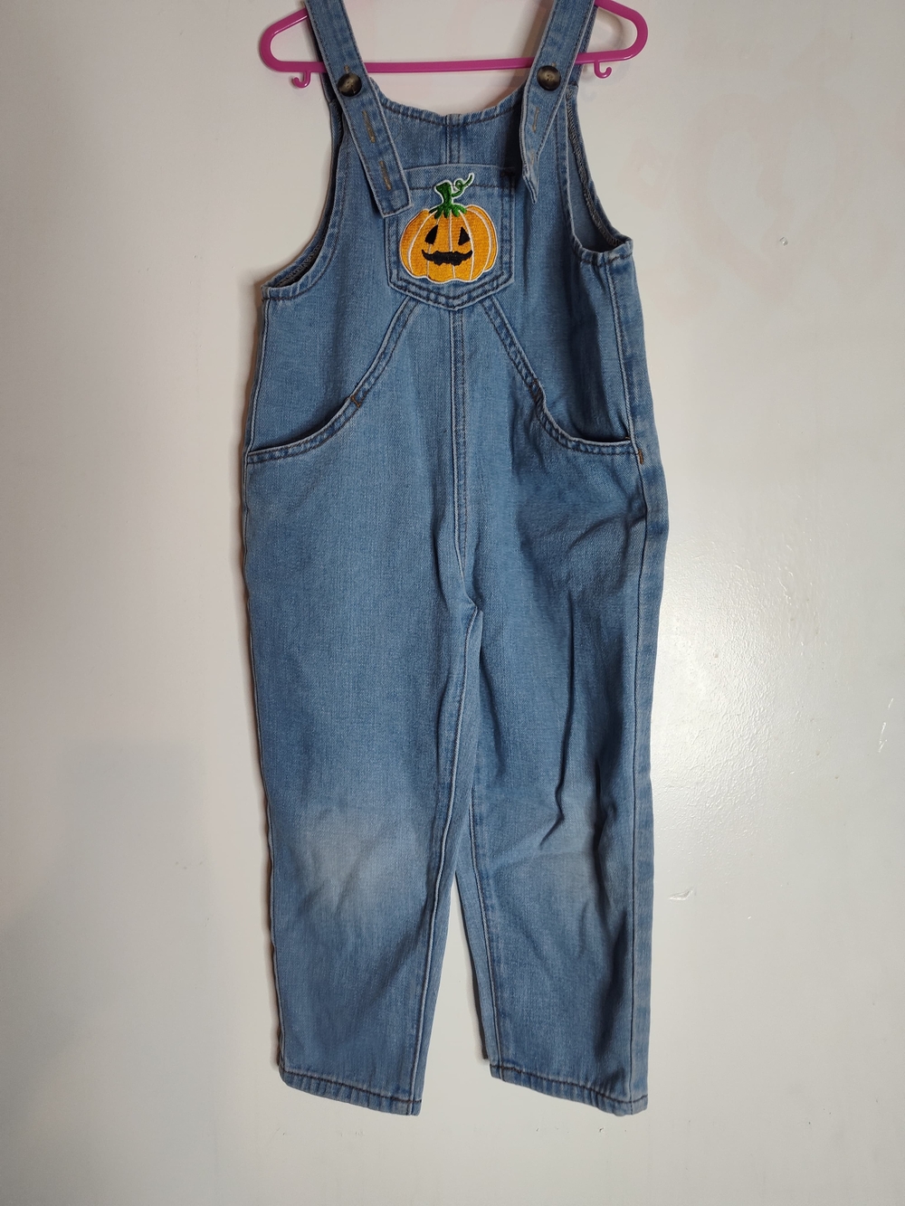 SHEIN Light Blue Denim Kids Pumpkin Patch Overalls